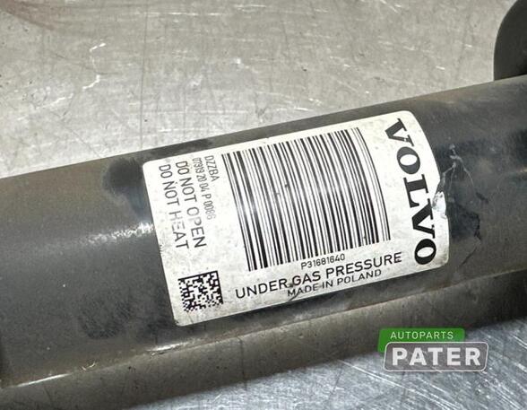 Suspension Strut VOLVO XC60 II (246)