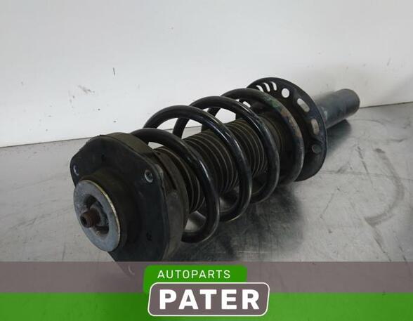 Suspension Strut AUDI A3 (8P1), AUDI A3 Sportback (8PA)