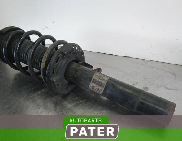 Suspension Strut AUDI A3 (8P1), AUDI A3 Sportback (8PA)