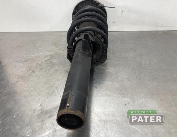 Suspension Strut BMW X3 (F25), BMW X4 (F26)