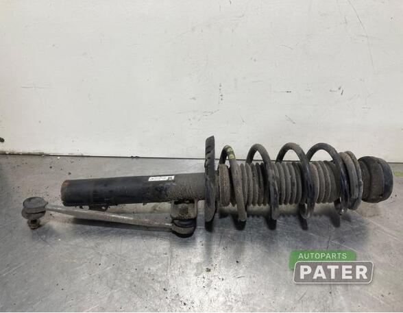 Suspension Strut SKODA FABIA II Combi (545), SKODA ROOMSTER Praktik (5J)