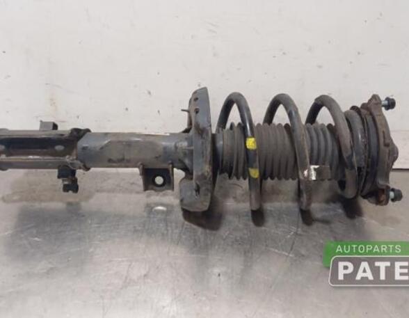 Suspension Strut KIA NIRO I (DE)