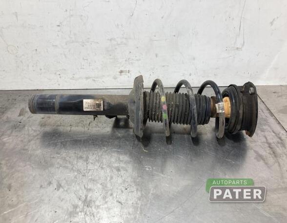 Suspension Strut SKODA KODIAQ (NS7, NV7, NS6)