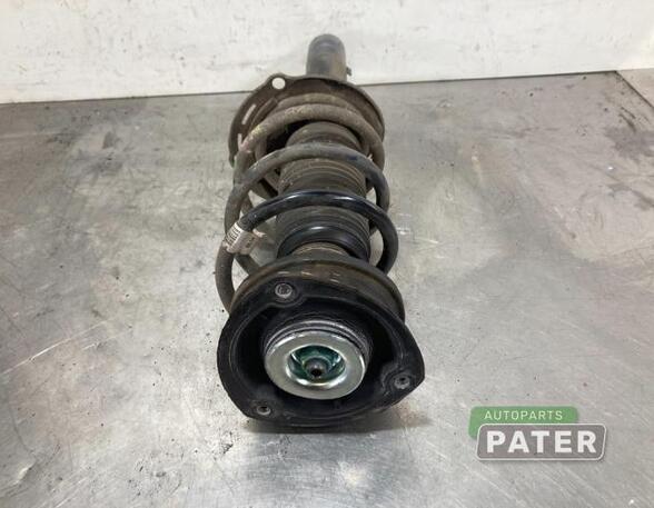 Suspension Strut SKODA KODIAQ (NS7, NV7, NS6)