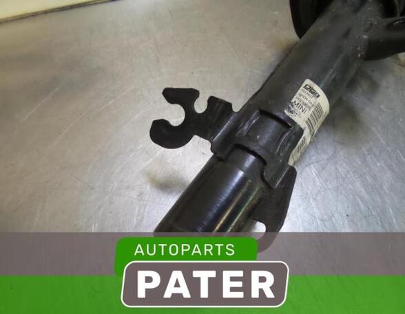 Suspension Strut MINI MINI (R56)