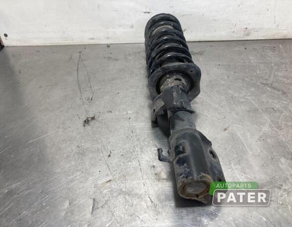 Suspension Strut NISSAN MICRA V (K14)