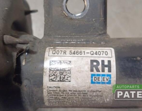 Suspension Strut KIA NIRO I (DE)