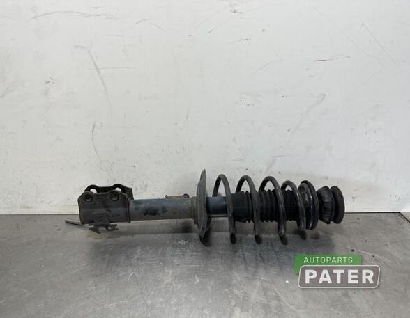 Suspension Strut TOYOTA VERSO S (_P12_)