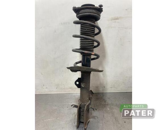 Suspension Strut NISSAN JUKE (F15)