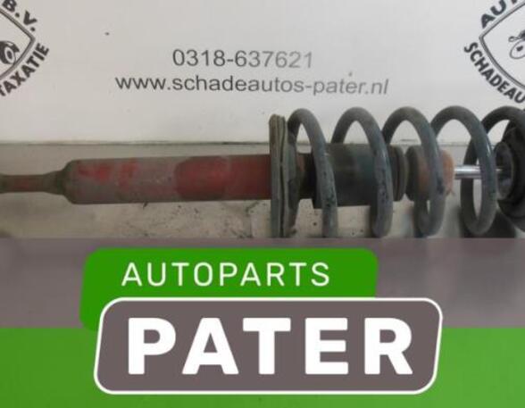 Federbein rechts vorne VW Passat 5.5 Variant 3B6  P4372286