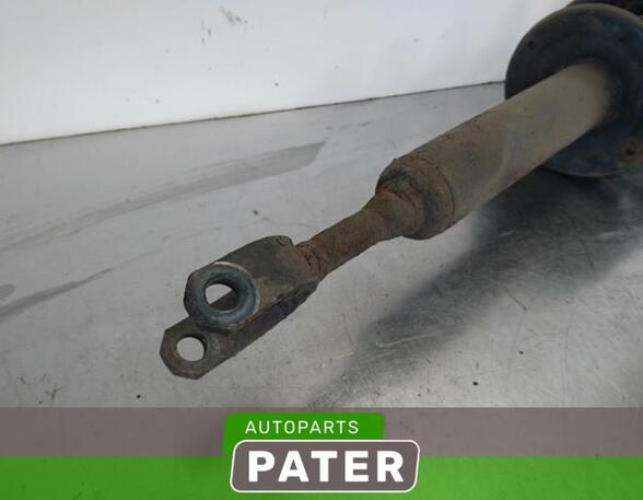 Suspension Strut VW PASSAT (3B3)