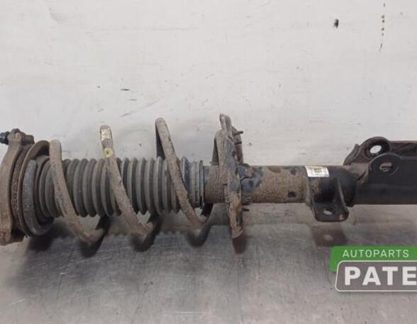 Suspension Strut KIA SPORTAGE (QL, QLE)