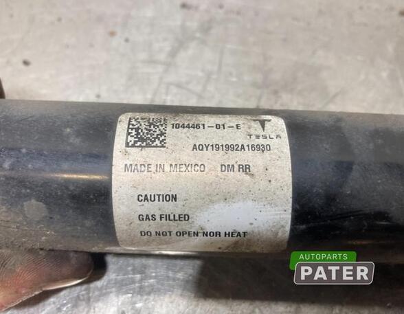 Shock Absorber TESLA MODEL 3 (5YJ3)