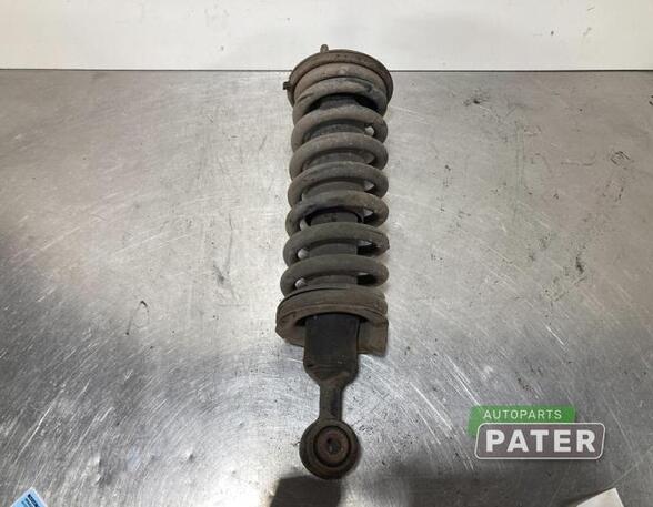 Shock Absorber NISSAN PATHFINDER III (R51)