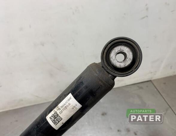 Shock Absorber VW GOLF VII Variant (BA5, BV5)