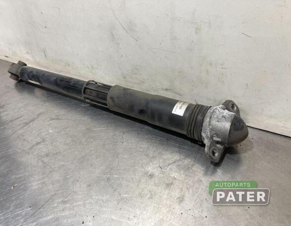 Shock Absorber VW GOLF VII Variant (BA5, BV5)