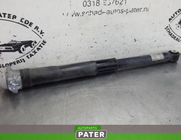 Shock Absorber VW GOLF SPORTSVAN (AM1, AN1)