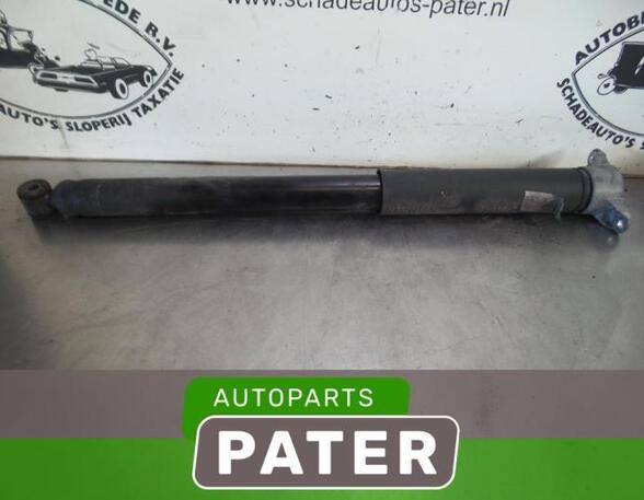 Shock Absorber FORD C-MAX II (DXA/CB7, DXA/CEU)