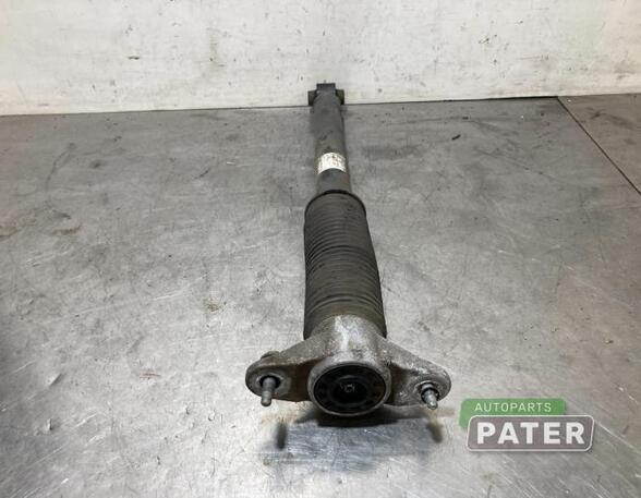 Shock Absorber TESLA MODEL 3 (5YJ3)