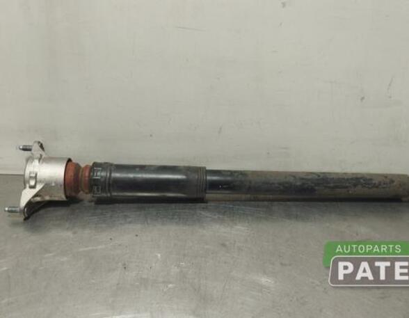 Shock Absorber MERCEDES-BENZ B-CLASS (W246, W242)