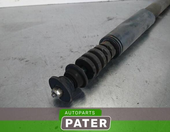 Shock Absorber RENAULT CLIO III (BR0/1, CR0/1)