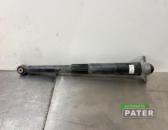 Shock Absorber SKODA OCTAVIA III Combi (5E5, 5E6)