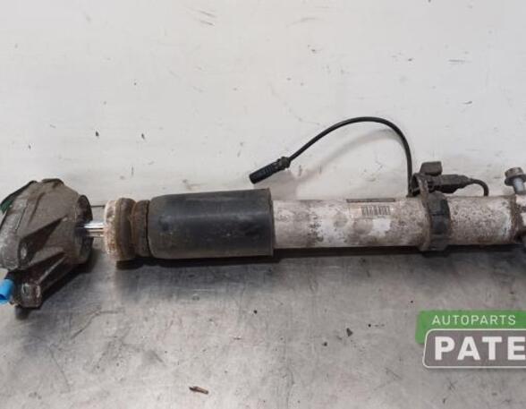 Shock Absorber BMW 4 Coupe (F32, F82)