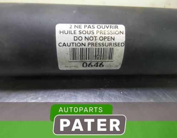 Shock Absorber PEUGEOT 5008 (0U_, 0E_)