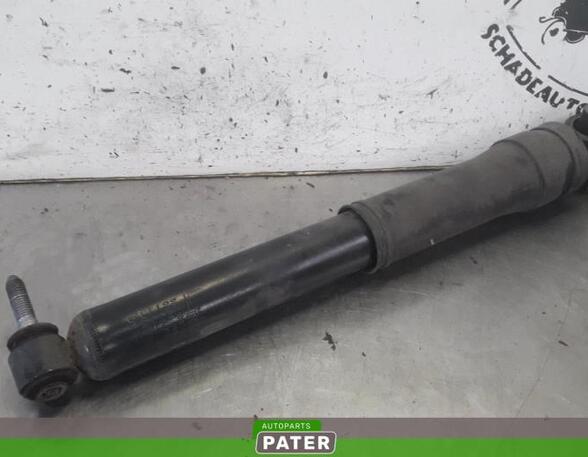 Shock Absorber RENAULT MEGANE III Grandtour (KZ0/1)