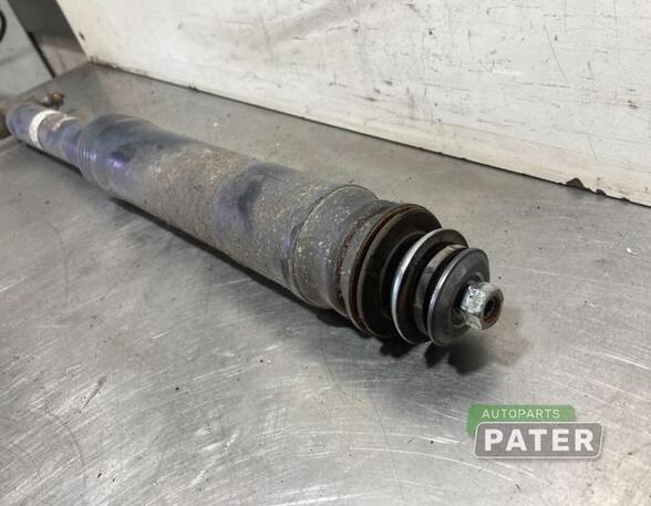 Shock Absorber LEXUS CT (ZWA10_)