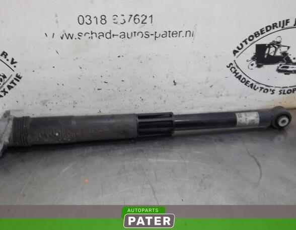 Shock Absorber VW GOLF SPORTSVAN (AM1, AN1)