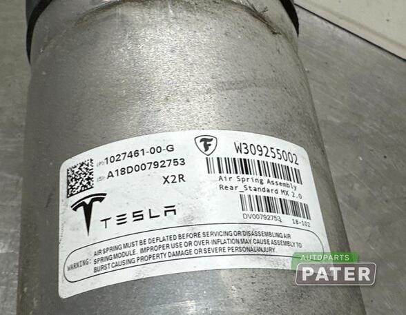 Shock Absorber TESLA MODEL X (5YJX)