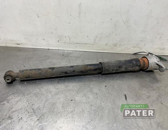 Shock Absorber MERCEDES-BENZ B-CLASS (W246, W242)