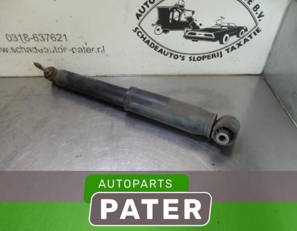 Shock Absorber RENAULT SCÉNIC II (JM0/1_)