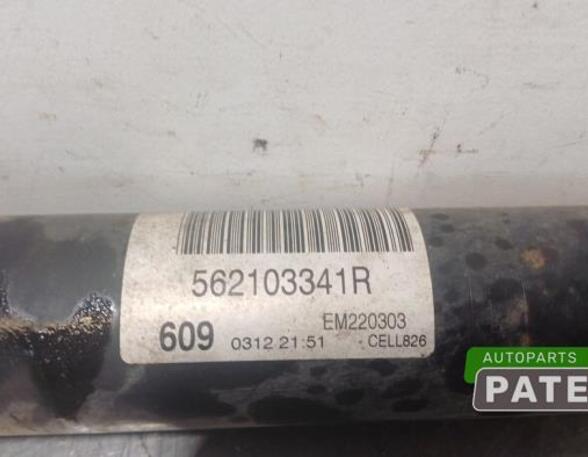 Shock Absorber RENAULT MEGANE IV Grandtour (K9A/M/N_)