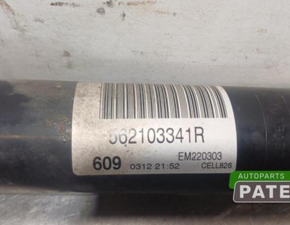 Shock Absorber RENAULT MEGANE IV Grandtour (K9A/M/N_)