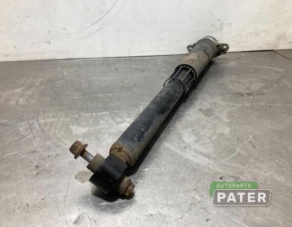 Shock Absorber VW TIGUAN (AD1, AX1), VW TIGUAN ALLSPACE (BW2)