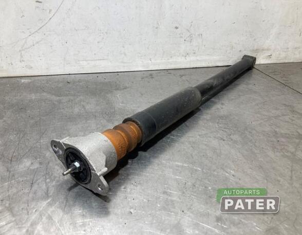 Shock Absorber FORD FIESTA VI (CB1, CCN)