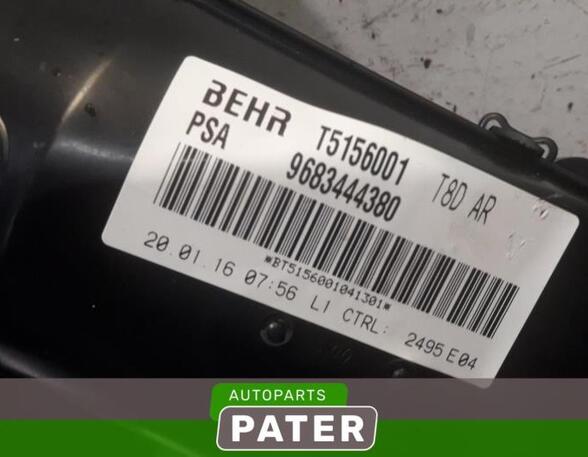 Interior Blower Motor PEUGEOT 5008 (0U_, 0E_)