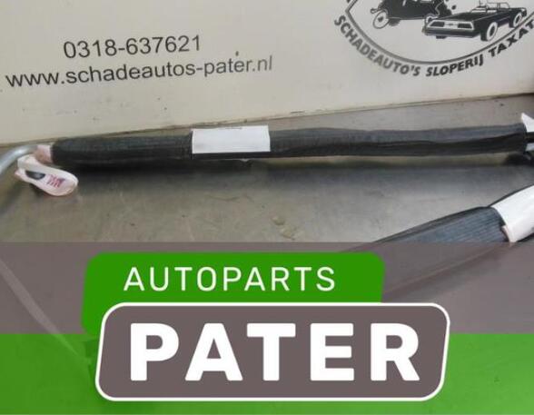 
Airbag Dach links Renault Clio III BR0/1, CR0/1 867221310341 P4406086
