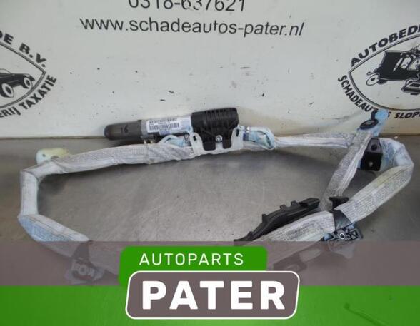 Roof Airbag BMW 3 Touring (E91)