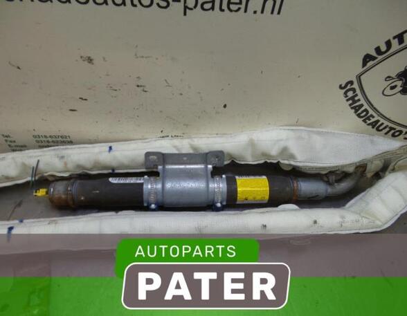 Roof Airbag FORD GALAXY (WA6), FORD S-MAX (WA6)