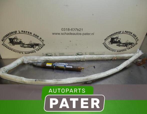 Roof Airbag FORD GALAXY (WA6), FORD S-MAX (WA6)