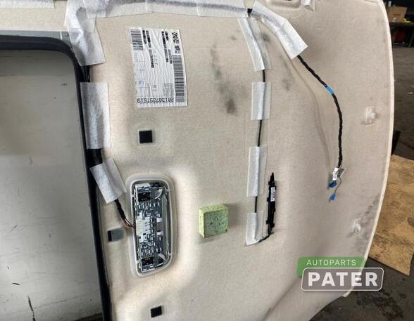 Front Interior Roof Trim Panel MERCEDES-BENZ GLK-CLASS (X204)