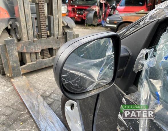 Wing (Door) Mirror RENAULT TWINGO II (CN0_)