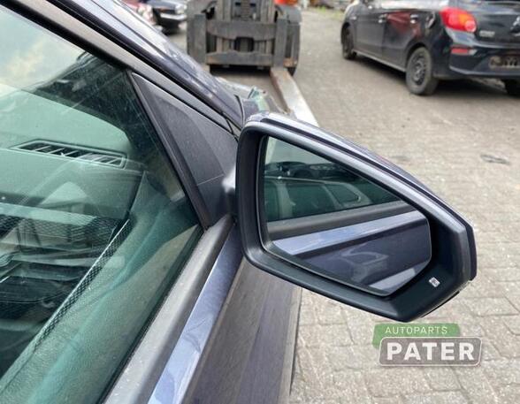 Wing (Door) Mirror VW POLO (AW1, BZ1)