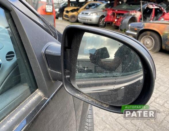 Wing (Door) Mirror RENAULT TWINGO II (CN0_)