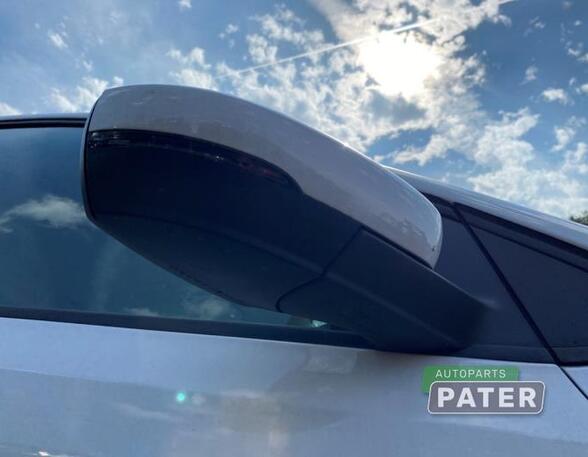 Wing (Door) Mirror VW POLO (6R1, 6C1), VW POLO Van (6R)