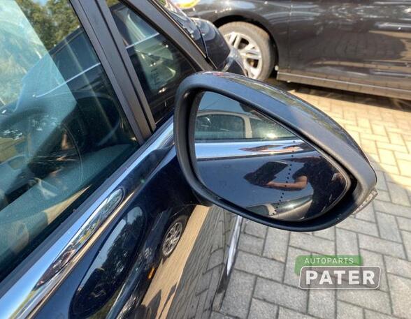 Wing (Door) Mirror FORD FIESTA VI (CB1, CCN), FORD FIESTA VI Van