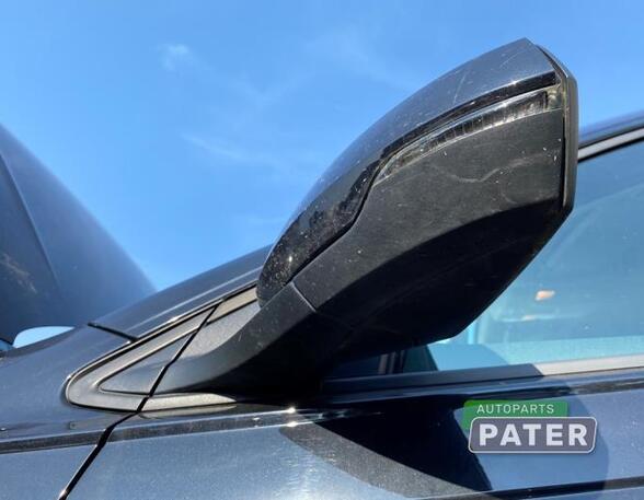 Wing (Door) Mirror VW POLO (AW1, BZ1)